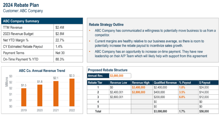 Rebate Plan Review example