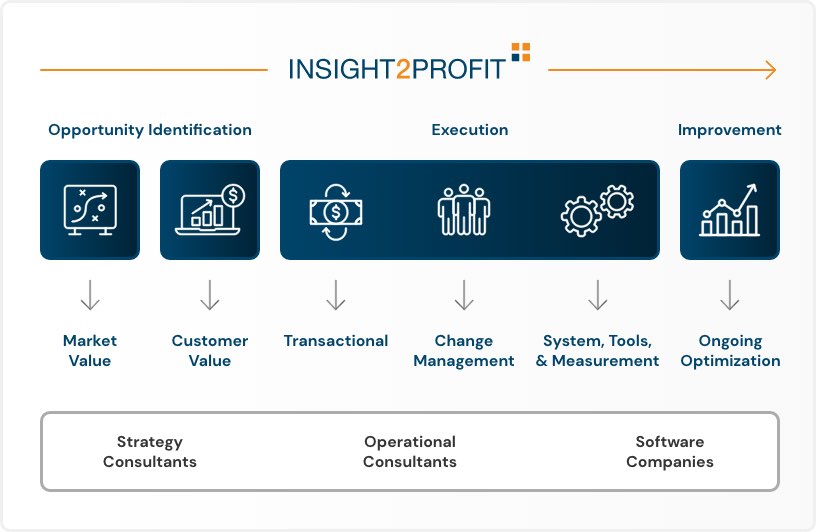 insight2profit's pricing strategy execution