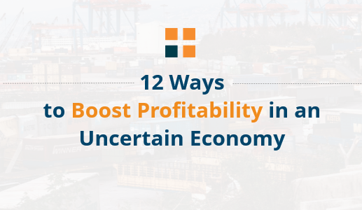 12 Ways to Boost Profitability Guide