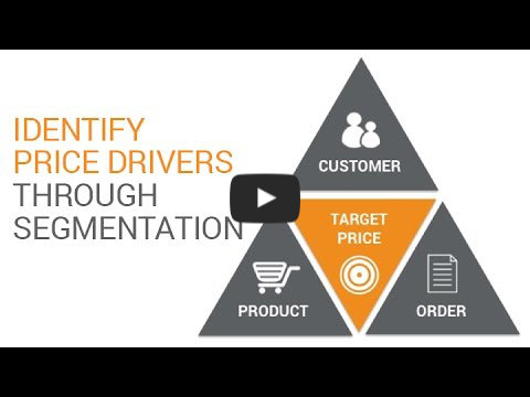 identifying price drivers through segmentation